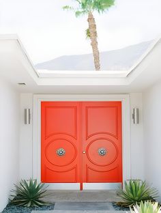 an orange front door with two potted plants on either side and a palm tree in the background