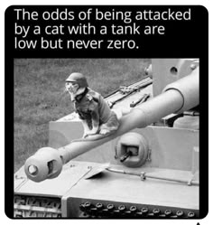 a cat sitting on top of a tank with caption that reads, the odds of being attacked by a cat with a tank are low but never zero