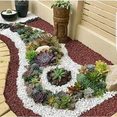 an assortment of succulents and rocks in a garden