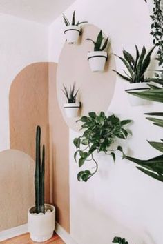 some plants are hanging on the wall in front of a mirror and potted plant