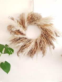 a dried wreath hanging on the wall next to a potted plant