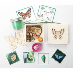 the contents of a butterfly craft kit including cards and magnets