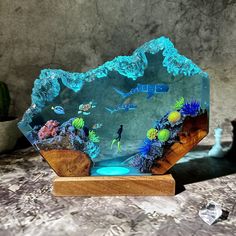 an aquarium is displayed on a wooden stand