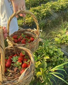 two baskets filled with strawberries sitting on top of a lush green field