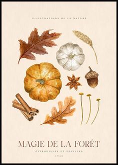 a book cover with different types of leaves and other things on the page, including an acorn