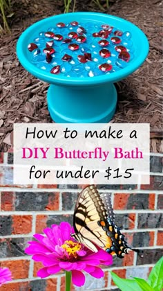 how to make a diy butterfly bath for under $ 15 with pictures and instructions