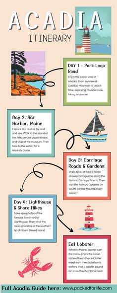 an info sheet describing the different types of boats and how they are used for them