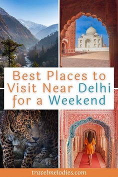 the best places to visit near delhi for a weekend