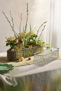 an arrangement of plants in baskets on a table