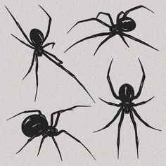 four black spider silhouettes are shown in three different poses, each with its own shadow