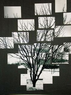 a tree with many squares on it in the snow