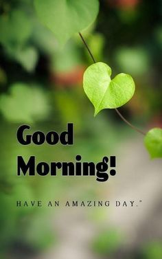 the words good morning have an amazing day are displayed on a green leafy background