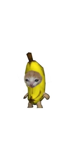 a small animal wearing a banana costume