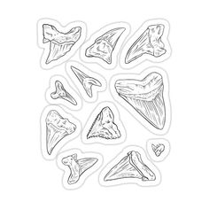 the different types of teeth sticker