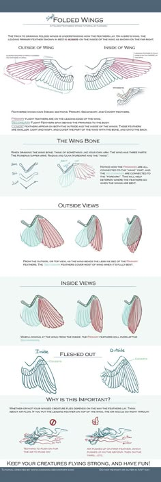 an info sheet showing the different types of aircrafts in each plane, and how they are