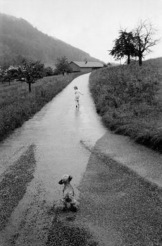 black and white photograph of two dogs walking down a wet road with hills in the background