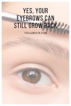 If you’ve spent hours gazing in the mirror, wishing you could have your virgin eyebrows back, we feel you. Teenage Tweezers, unite! We remember the first time we went crazy with our first tweezers, attacking that unibrow and those strays. Who hasn’t over-plucked at one point?  While we can’t turn back time, we can grow our eyebrows back. Follow these five easy steps to bring back those youthful brows you haven’t seen in years. #brows Grow Eyebrows Back, How To Grow Back Eyebrows, Sparse Eyebrows How To Fill In, Grow Back Eyebrows, Grow Brows, Growing Out Eyebrows, Thinning Eyebrows, Overplucked Eyebrows, Brow Waxing