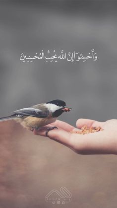 a person holding a bird in their hand with an arabic quote above it that reads,