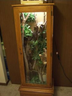 a tall wooden cabinet with plants in it