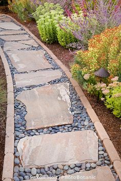 a stone path surrounded by plants and flowers