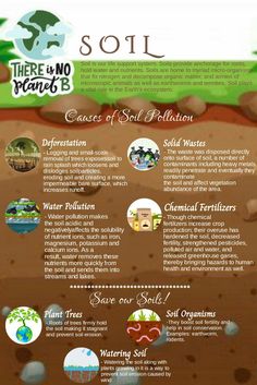 an info sheet describing the different types of soil