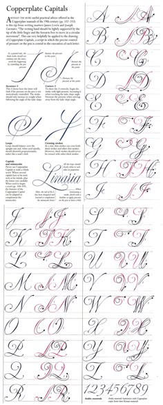 some type of calligraphy that is in different styles and font types, including the upper one