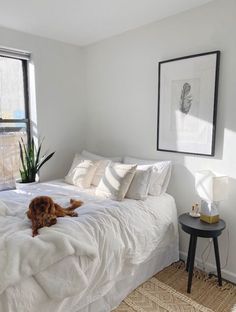 a dog laying on top of a white bed in a bedroom next to a window