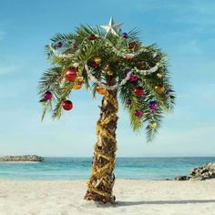 a palm tree with ornaments on it at the beach