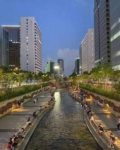 people are sitting on benches along the water in a city at night, with tall buildings behind them