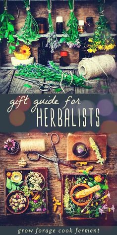 the gift guide for herbists by grow force cook ferment is out now