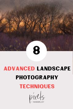 trees and grass with the text 8 advance landscape photography techniques pixels wanderlust com