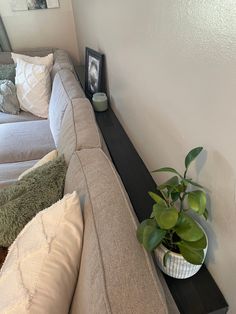 a living room with couches and a potted plant on the side of the wall