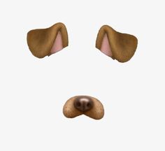 a dog's nose and nose are shown in an animated style, with two different angles