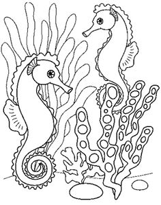 seahorses are swimming in the ocean coloring page