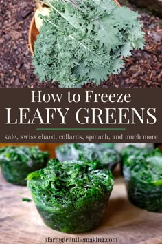 how to freeze leafy greens for salads, salads, and much more