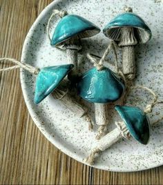 small blue mushrooms on a white plate with twine and string tied around them, sitting on a wooden table