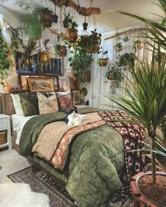 a bed room with a neatly made bed and lots of plants