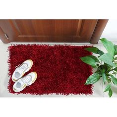 pair of sneakers on red rug next to potted plant