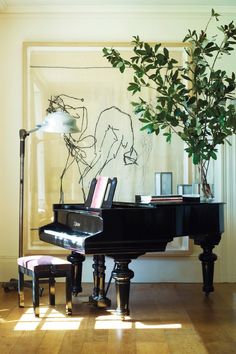 a black piano sitting next to a potted plant on top of a hard wood floor