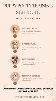 the puppy potty training schedule is shown with instructions for how to use it and how to