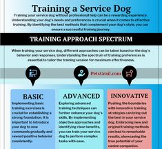 an info sheet describing the benefits of training in service dogs and how to use them