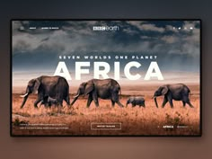 the website is designed to look like it has elephants walking in an open field with dark clouds