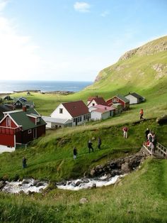 several people are standing on the grass near some houses and water in front of them