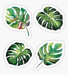 four stickers with green leaves on them