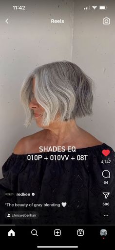 Silver Shades Eq Formula, Shades Eq Silver Toner Formulas, Grey Toner, Shades Eq Formulas, Shadow Roots Hair