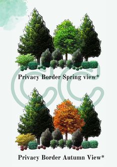 the privacy border spring view is shown with trees and shrubs in different stages of growth