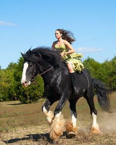 a woman riding on the back of a black and white horse in an open field