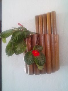 a bunch of sticks that are next to a flower on a wall with some leaves