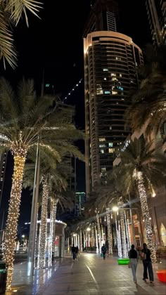 palm trees are lit up on the sidewalk in front of tall buildings and skyscrapers