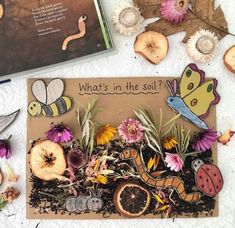 a card with flowers and insects on it next to a book about what's in the soil?